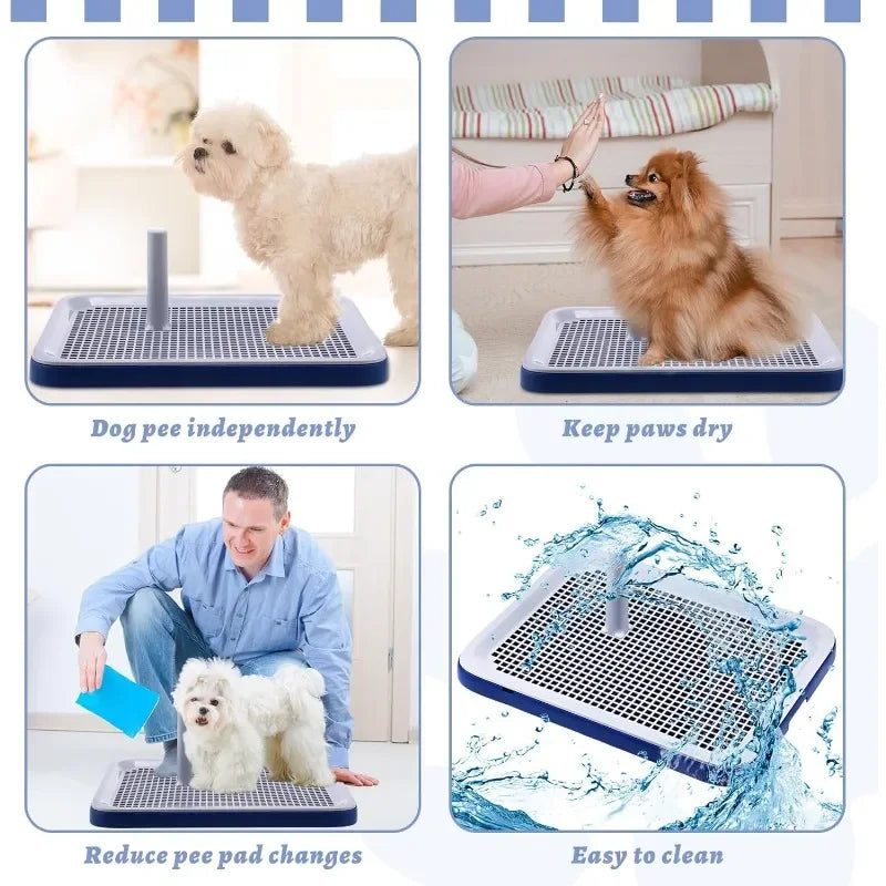 Dog Potty Training Tray