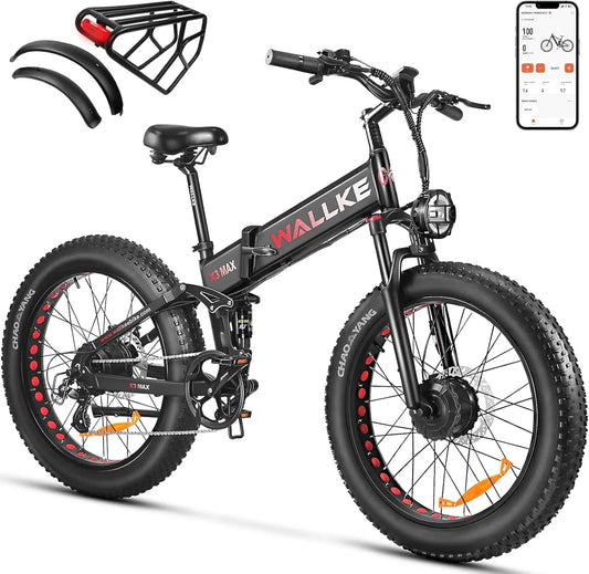 Electric Bike Dual Motor