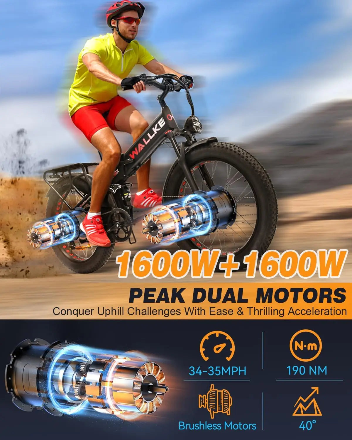 Electric Bike Dual Motor